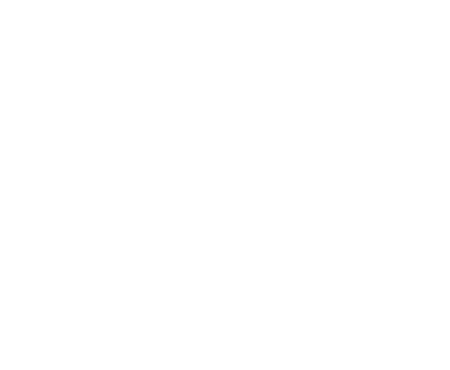 Protocol Labs
